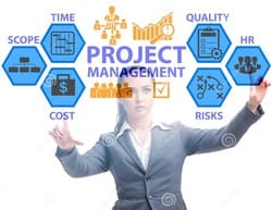 Consultant juggling the multifaceted Network Project Management elements